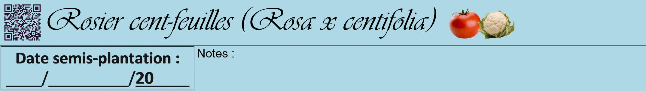 Étiquette de : Rosa x centifolia - format a - style noire0viv avec qrcode et comestibilité simplifiée