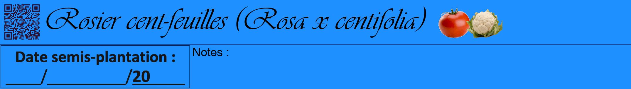Étiquette de : Rosa x centifolia - format a - style noire3viv avec qrcode et comestibilité simplifiée