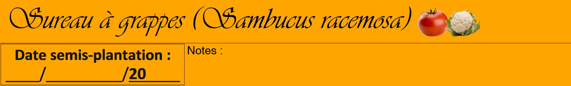 Étiquette de : Sambucus racemosa - format a - style noire22viv avec comestibilité simplifiée