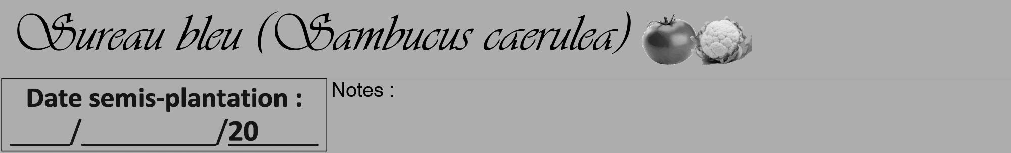 Étiquette de : Sambucus caerulea - format a - style noire22viv avec comestibilité simplifiée