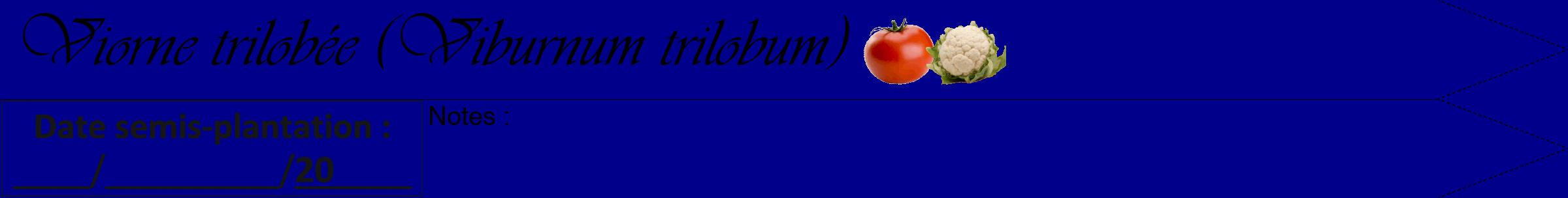Étiquette de : Viburnum trilobum - format a - style noire7simpleviv avec comestibilité simplifiée