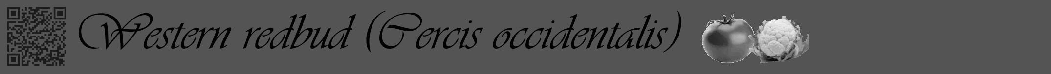 Étiquette de : Cercis occidentalis - format a - style noire30viv avec qrcode et comestibilité simplifiée
