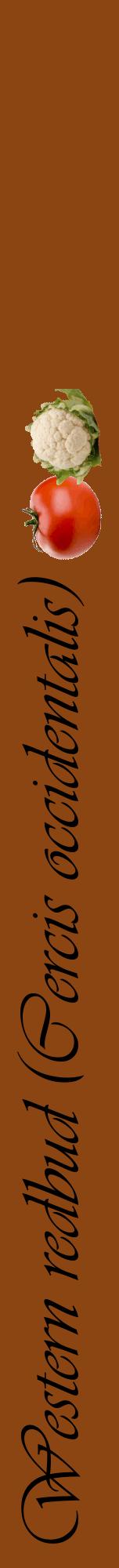 Étiquette de : Cercis occidentalis - format a - style noire30viv avec comestibilité simplifiée