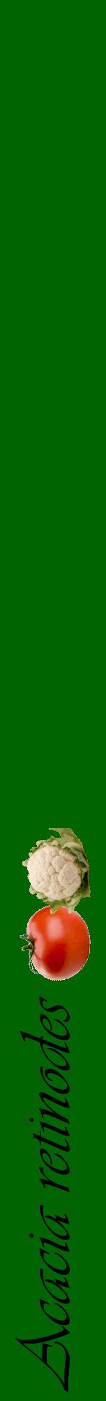 Étiquette de : Acacia retinodes - format a - style noire8viv avec comestibilité simplifiée