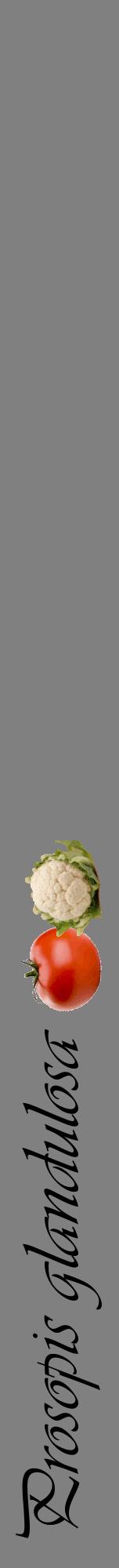 Étiquette de : Prosopis glandulosa - format a - style noire57viv avec comestibilité simplifiée