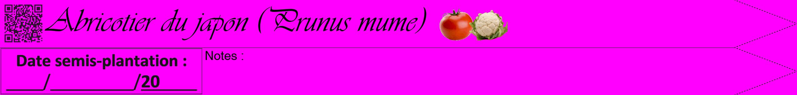 Étiquette de : Prunus mume - format b - style noire51simpleviv avec qrcode et comestibilité simplifiée