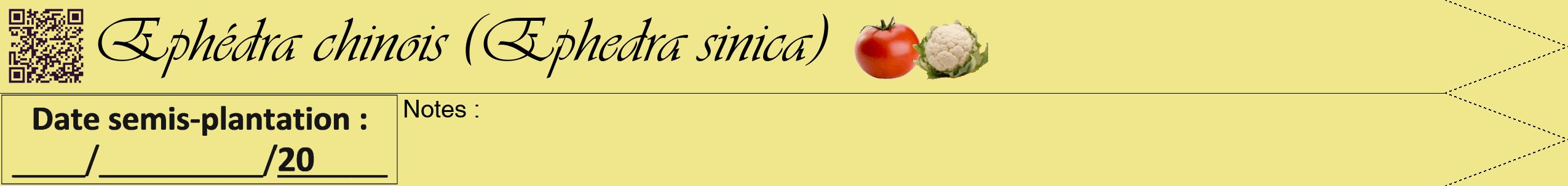 Étiquette de : Ephedra sinica - format b - style noire20viv avec qrcode et comestibilité simplifiée