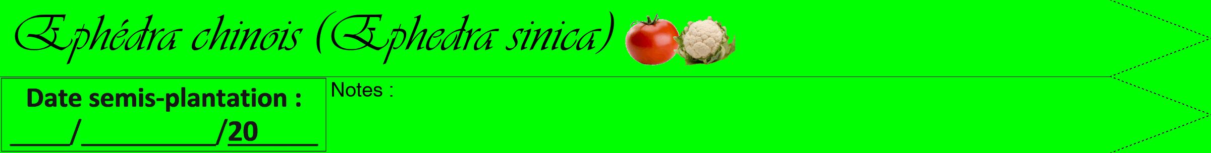 Étiquette de : Ephedra sinica - format b - style noire16viv avec comestibilité simplifiée