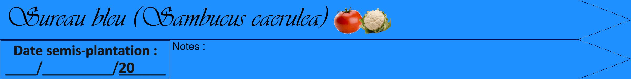 Étiquette de : Sambucus caerulea - format b - style noire3viv avec comestibilité simplifiée