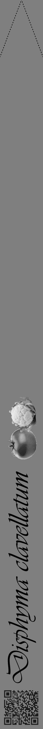 Étiquette de : Disphyma clavellatum - format b - style noire31viv avec qrcode et comestibilité simplifiée - position verticale