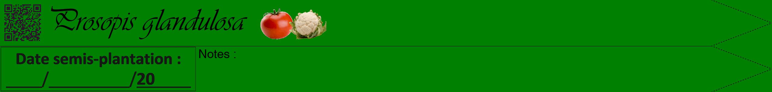 Étiquette de : Prosopis glandulosa - format b - style noire9viv avec qrcode et comestibilité simplifiée