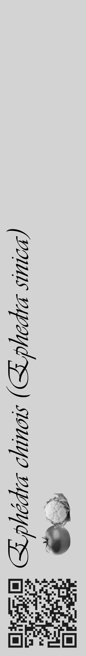 Étiquette de : Ephedra sinica - format c - style noire56_basique_basiqueviv avec qrcode et comestibilité simplifiée - position verticale