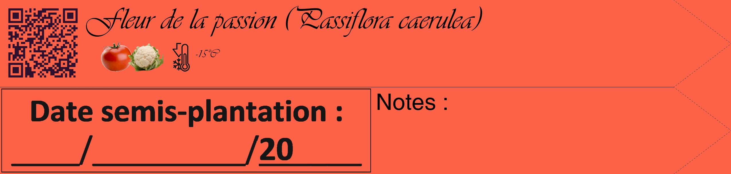 Étiquette de : Passiflora caerulea - format c - style noire25_simple_simpleviv avec qrcode et comestibilité simplifiée
