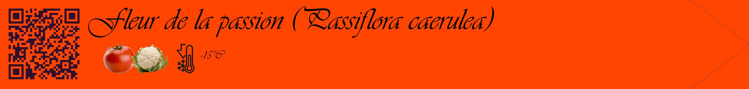 Étiquette de : Passiflora caerulea - format c - style noire26_simple_simpleviv avec qrcode et comestibilité simplifiée