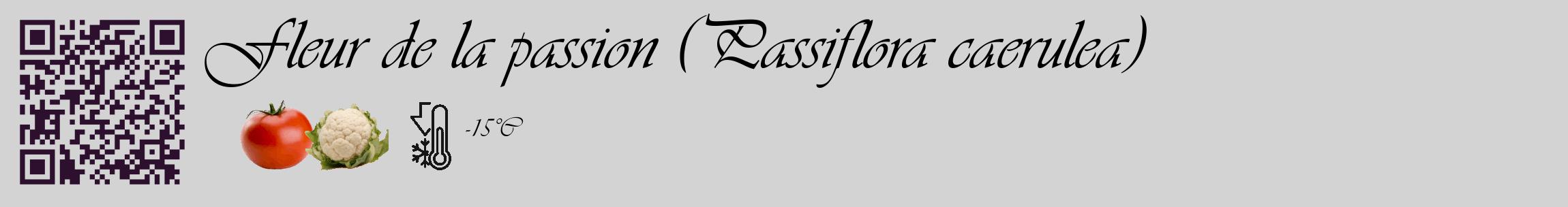 Étiquette de : Passiflora caerulea - format c - style noire56_basique_basiqueviv avec qrcode et comestibilité simplifiée