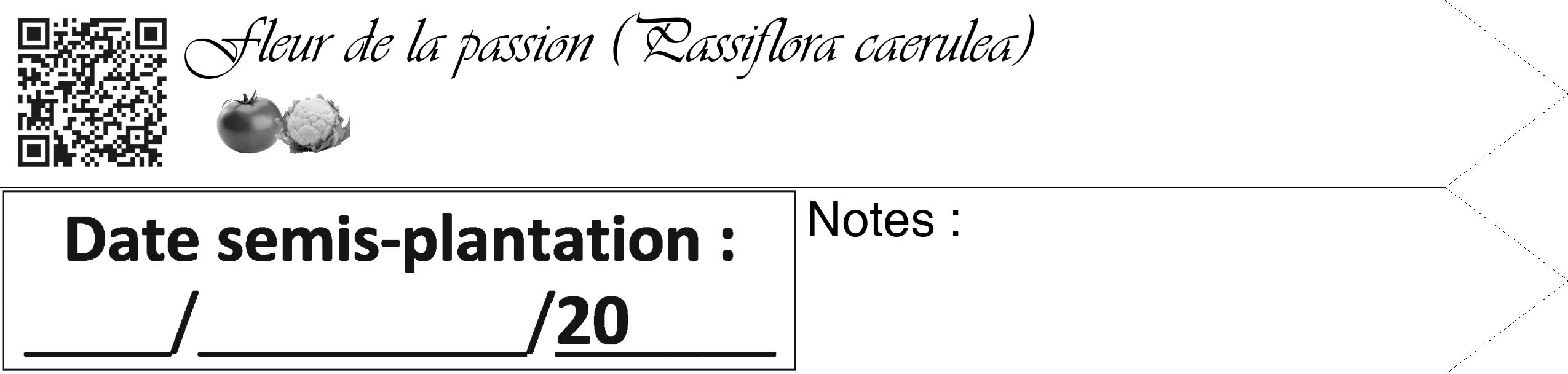 Étiquette de : Passiflora caerulea - format c - style noire60_simple_simpleviv avec qrcode et comestibilité simplifiée