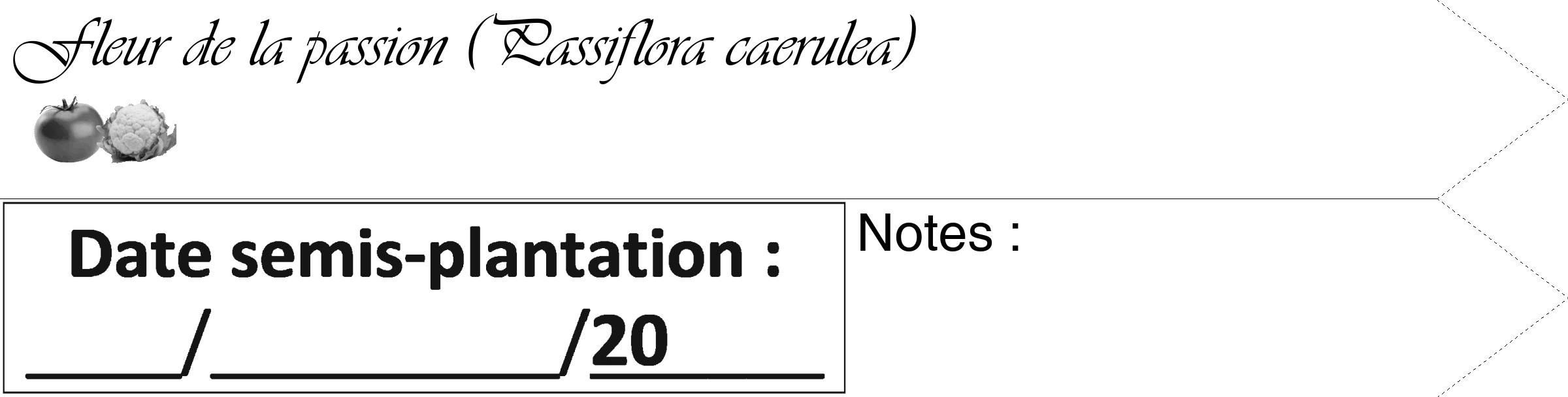 Étiquette de : Passiflora caerulea - format c - style noire60_simple_simpleviv avec comestibilité simplifiée