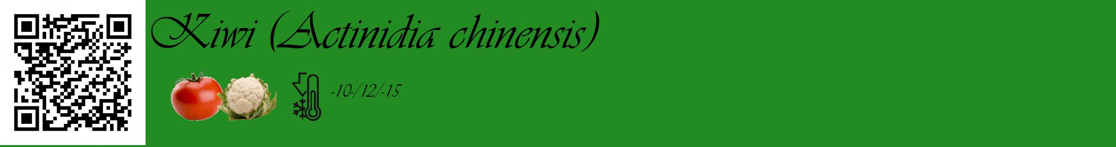 Étiquette de : Actinidia chinensis - format c - style noire10_basique_basiqueviv avec qrcode et comestibilité simplifiée