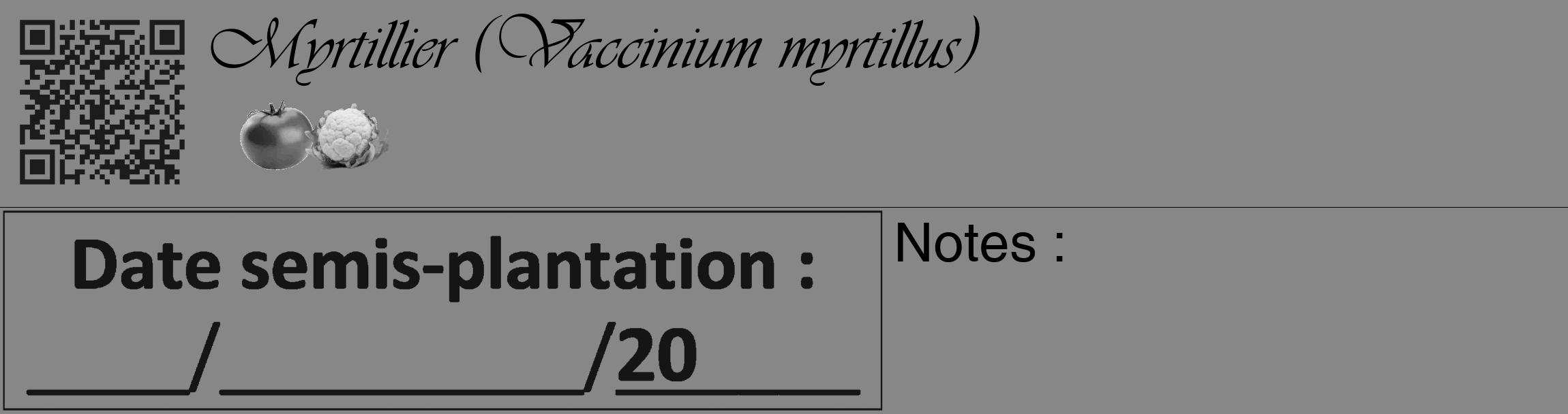 Étiquette de : Vaccinium myrtillus - format c - style noire12_basique_basiqueviv avec qrcode et comestibilité simplifiée