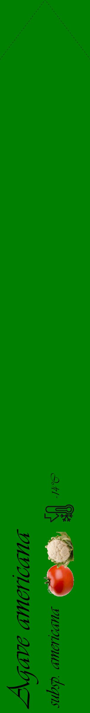 Étiquette de : Agave americana subsp. americana - format c - style noire9_simple_simpleviv avec comestibilité simplifiée - position verticale