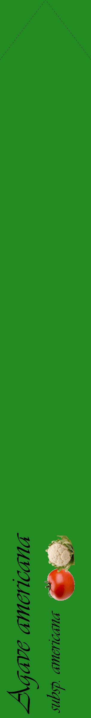 Étiquette de : Agave americana subsp. americana - format c - style noire10_simpleviv avec comestibilité simplifiée
