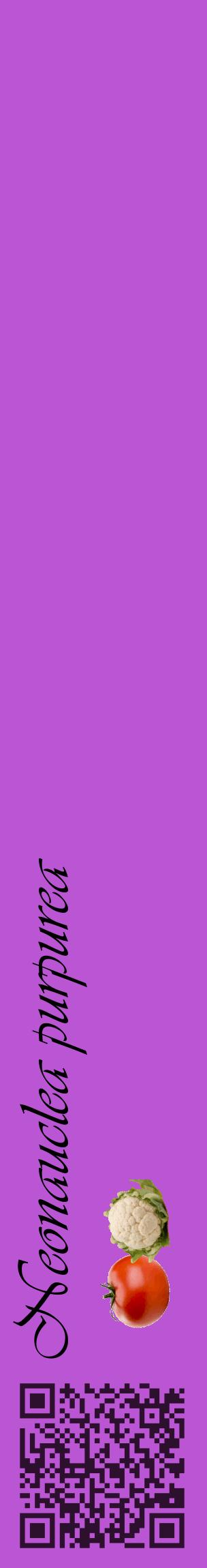 Étiquette de : Neonauclea purpurea - format c - style noire50_basiqueviv avec qrcode et comestibilité simplifiée