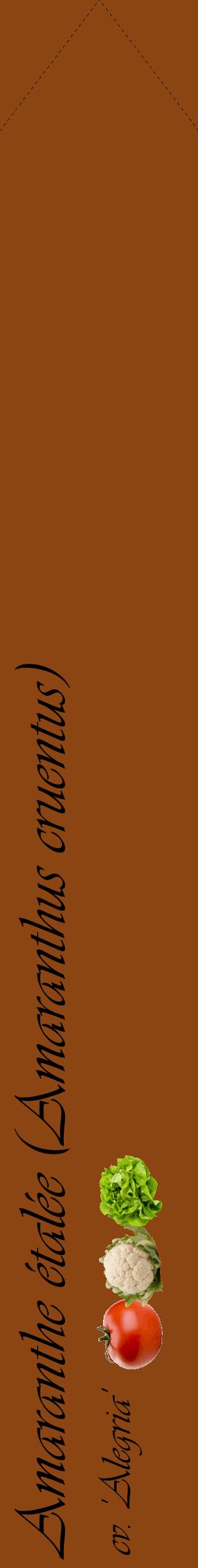 Étiquette de : Amaranthus cruentus cv. 'Alegria' - format c - style noire30_simpleviv avec comestibilité simplifiée