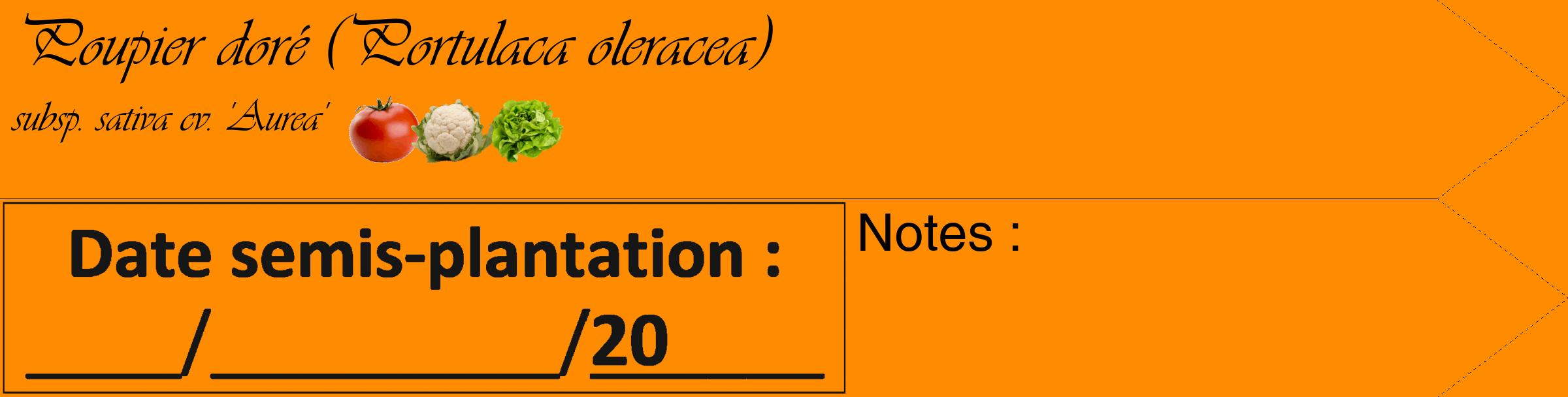 Étiquette de : Portulaca oleracea subsp. sativa cv. 'Aurea' - format c - style noire23_simple_simpleviv avec comestibilité simplifiée