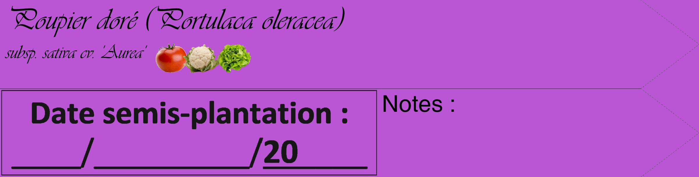 Étiquette de : Portulaca oleracea subsp. sativa cv. 'Aurea' - format c - style noire50_simple_simpleviv avec comestibilité simplifiée