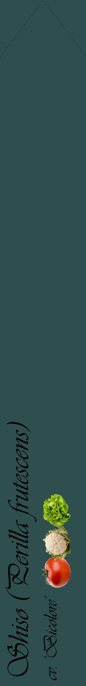 Étiquette de : Perilla frutescens cv. 'Bicolore' - format c - style noire58_simpleviv avec comestibilité simplifiée