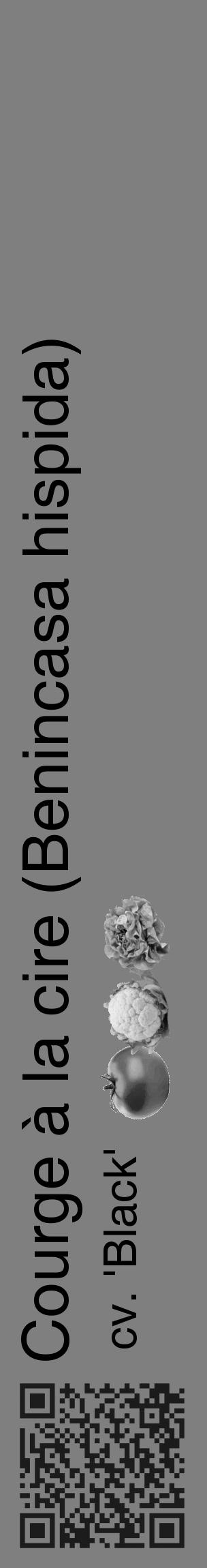 Étiquette de : Benincasa hispida cv. 'Black' - format c - style noire31_basique_basiquehel avec qrcode et comestibilité simplifiée - position verticale