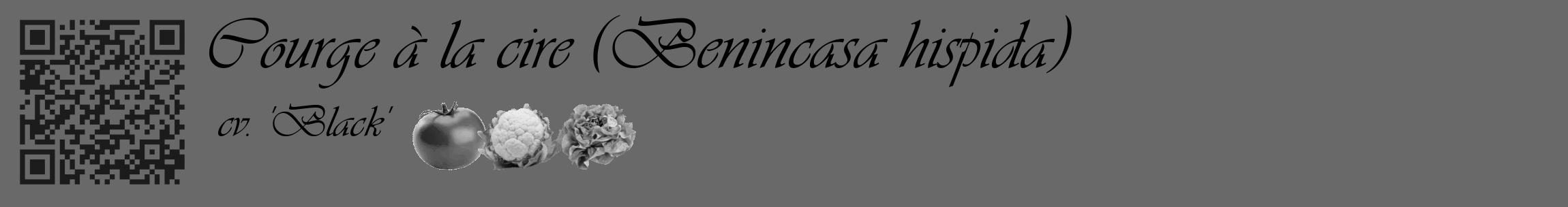Étiquette de : Benincasa hispida cv. 'Black' - format c - style noire11_basique_basiqueviv avec qrcode et comestibilité simplifiée