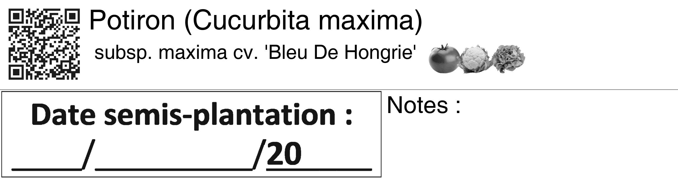Étiquette de : Cucurbita maxima subsp. maxima cv. 'Bleu De Hongrie' - format c - style noire60_basiquegrrvhel avec qrcode et comestibilité simplifiée