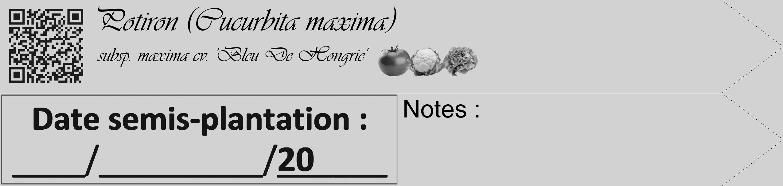 Étiquette de : Cucurbita maxima subsp. maxima cv. 'Bleu De Hongrie' - format c - style noire14simple_basique_basiqueviv avec qrcode et comestibilité simplifiée