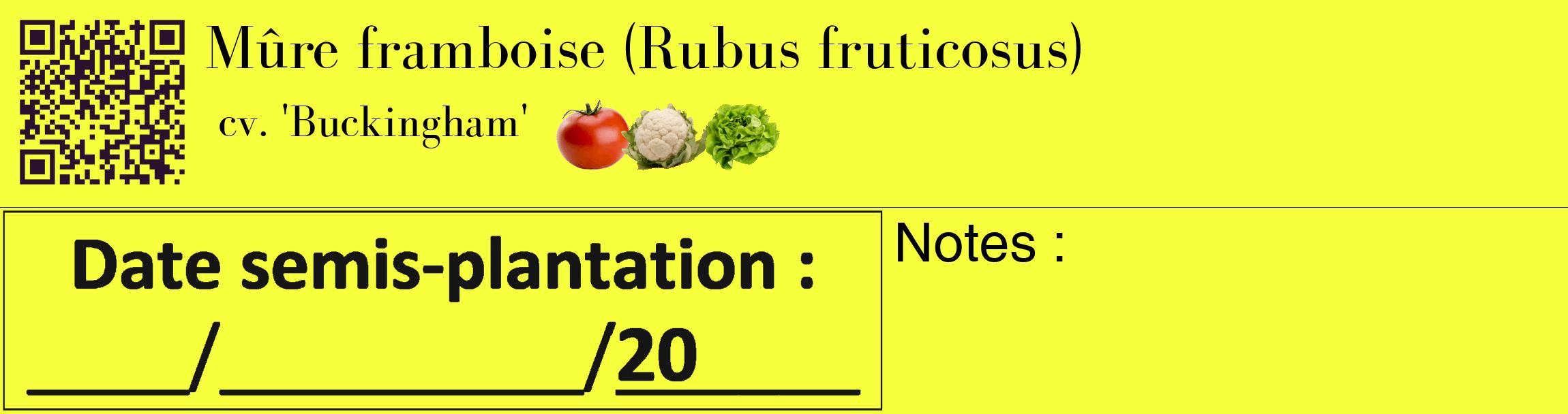 Étiquette de : Rubus fruticosus cv. 'Buckingham' - format c - style noire18_basique_basiquebod avec qrcode et comestibilité simplifiée