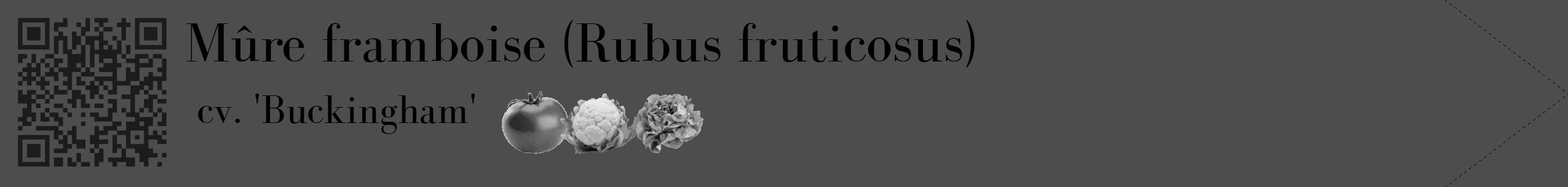 Étiquette de : Rubus fruticosus cv. 'Buckingham' - format c - style noire28_simple_simplebod avec qrcode et comestibilité simplifiée