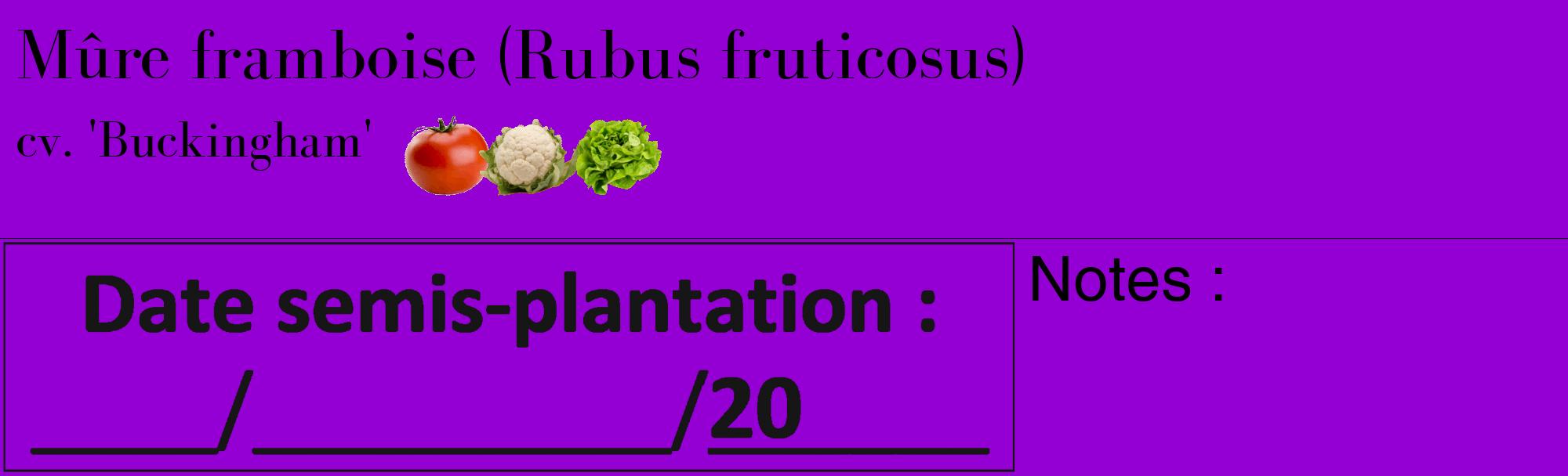 Étiquette de : Rubus fruticosus cv. 'Buckingham' - format c - style noire48_basique_basiquebod avec comestibilité simplifiée