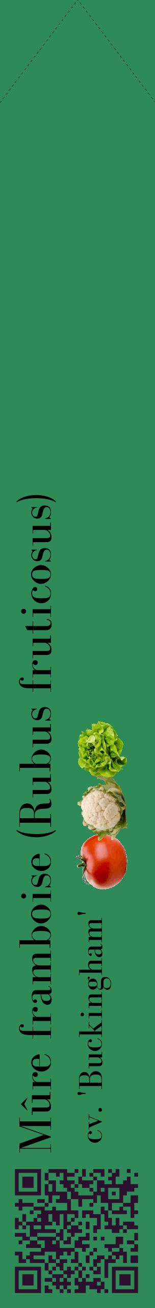 Étiquette de : Rubus fruticosus cv. 'Buckingham' - format c - style noire11_simplebod avec qrcode et comestibilité simplifiée