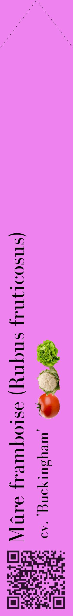 Étiquette de : Rubus fruticosus cv. 'Buckingham' - format c - style noire53_simplebod avec qrcode et comestibilité simplifiée