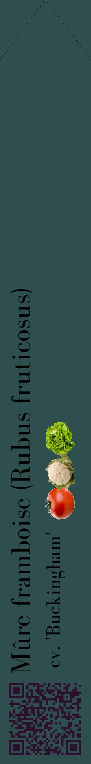 Étiquette de : Rubus fruticosus cv. 'Buckingham' - format c - style noire58_simplebod avec qrcode et comestibilité simplifiée