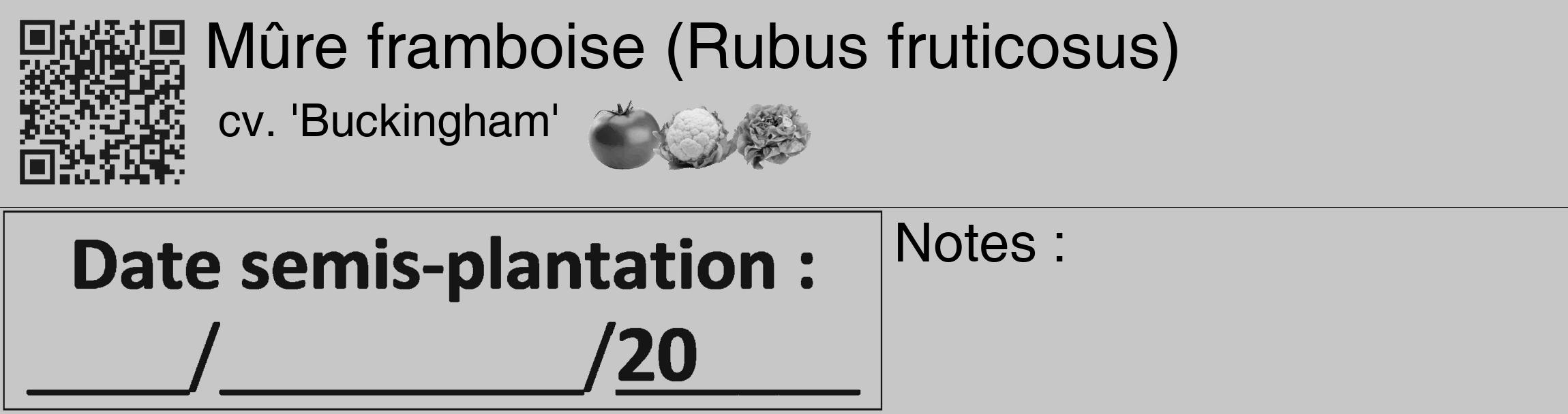Étiquette de : Rubus fruticosus cv. 'Buckingham' - format c - style noire15_basique_basiquehel avec qrcode et comestibilité simplifiée