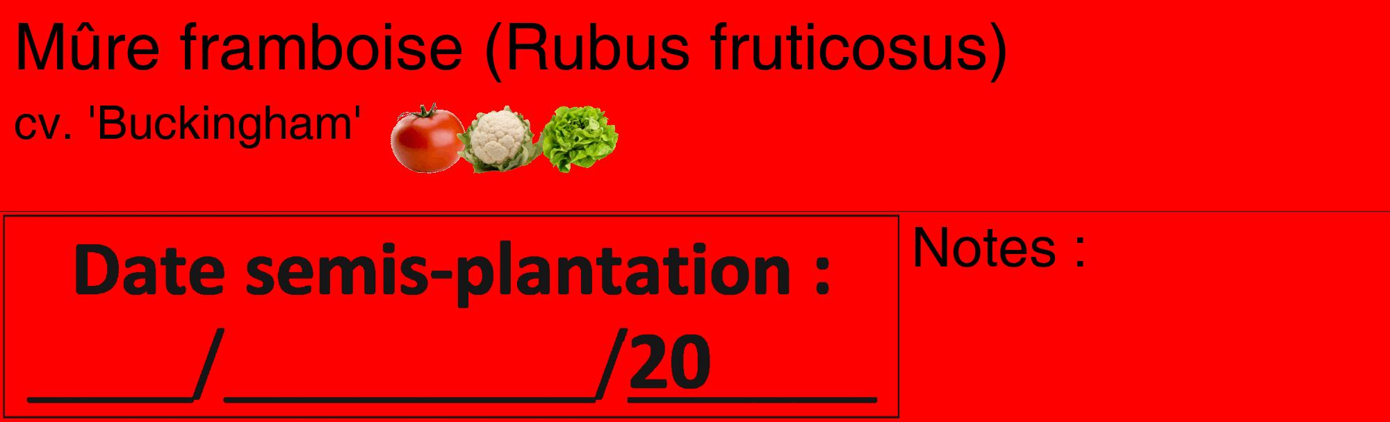 Étiquette de : Rubus fruticosus cv. 'Buckingham' - format c - style noire27_basique_basiquehel avec comestibilité simplifiée