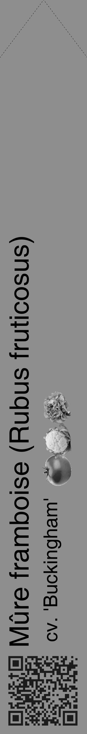 Étiquette de : Rubus fruticosus cv. 'Buckingham' - format c - style noire25_simple_simplehel avec qrcode et comestibilité simplifiée - position verticale