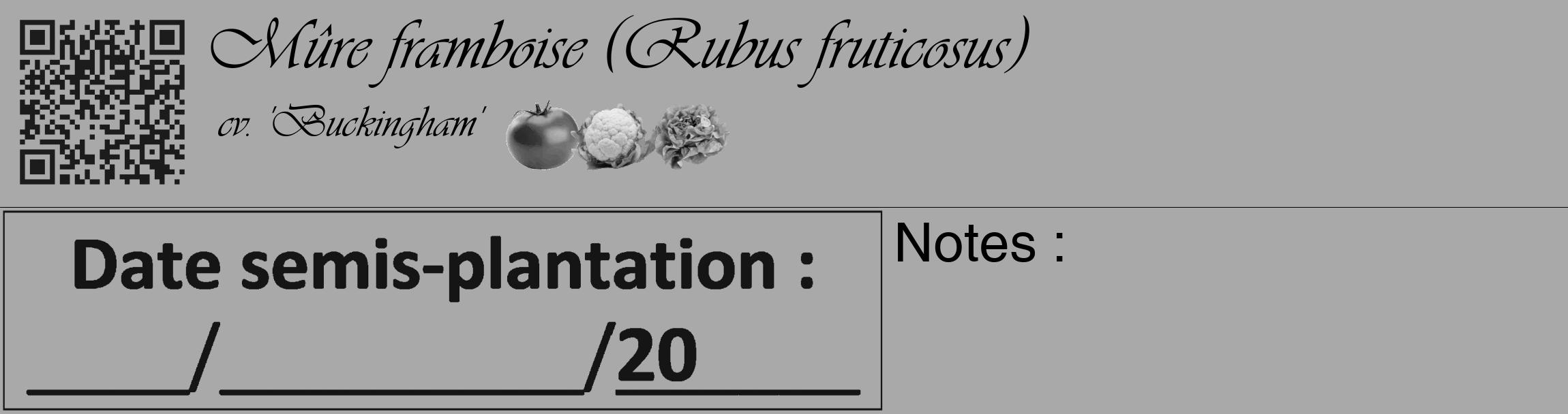 Étiquette de : Rubus fruticosus cv. 'Buckingham' - format c - style noire13_basique_basiqueviv avec qrcode et comestibilité simplifiée
