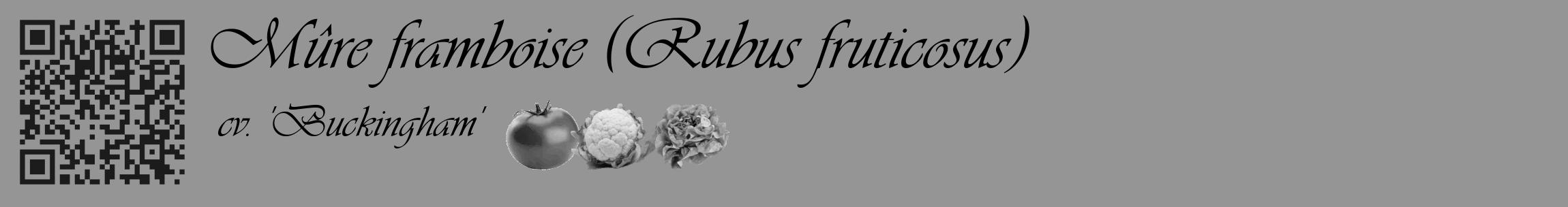 Étiquette de : Rubus fruticosus cv. 'Buckingham' - format c - style noire16_basique_basiqueviv avec qrcode et comestibilité simplifiée