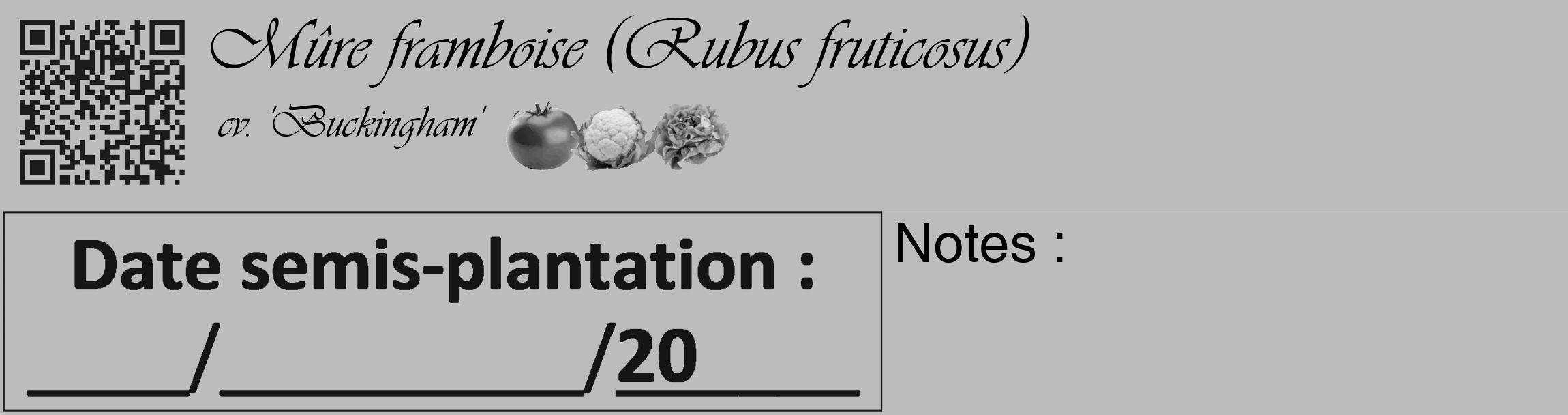 Étiquette de : Rubus fruticosus cv. 'Buckingham' - format c - style noire1_basique_basiqueviv avec qrcode et comestibilité simplifiée