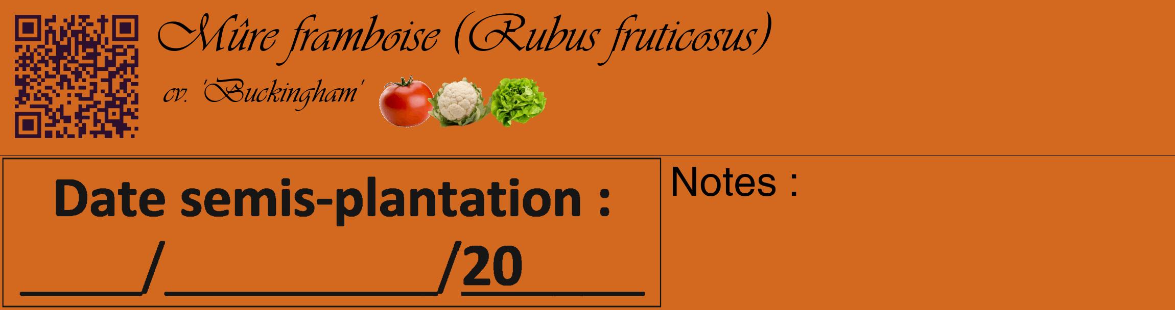 Étiquette de : Rubus fruticosus cv. 'Buckingham' - format c - style noire31_basique_basiqueviv avec qrcode et comestibilité simplifiée