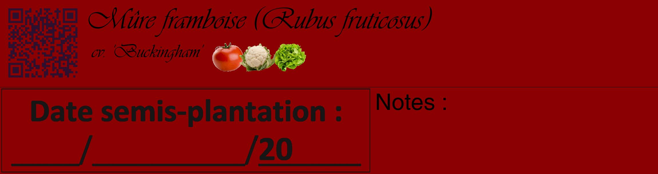 Étiquette de : Rubus fruticosus cv. 'Buckingham' - format c - style noire34_basique_basiqueviv avec qrcode et comestibilité simplifiée