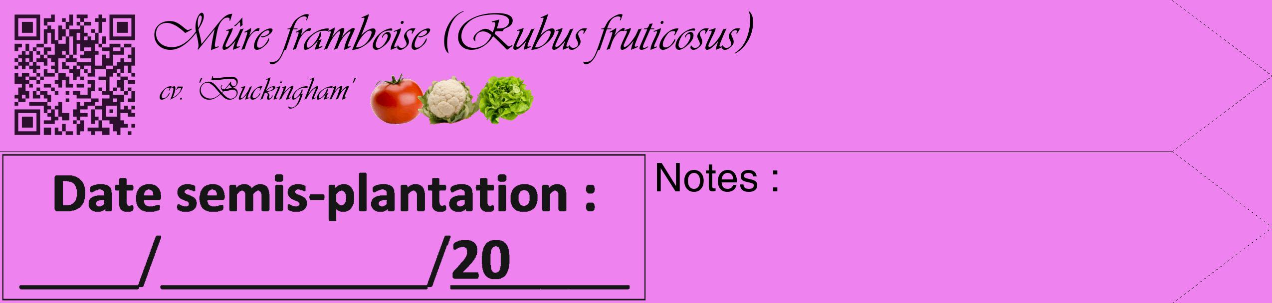 Étiquette de : Rubus fruticosus cv. 'Buckingham' - format c - style noire53_simple_simpleviv avec qrcode et comestibilité simplifiée
