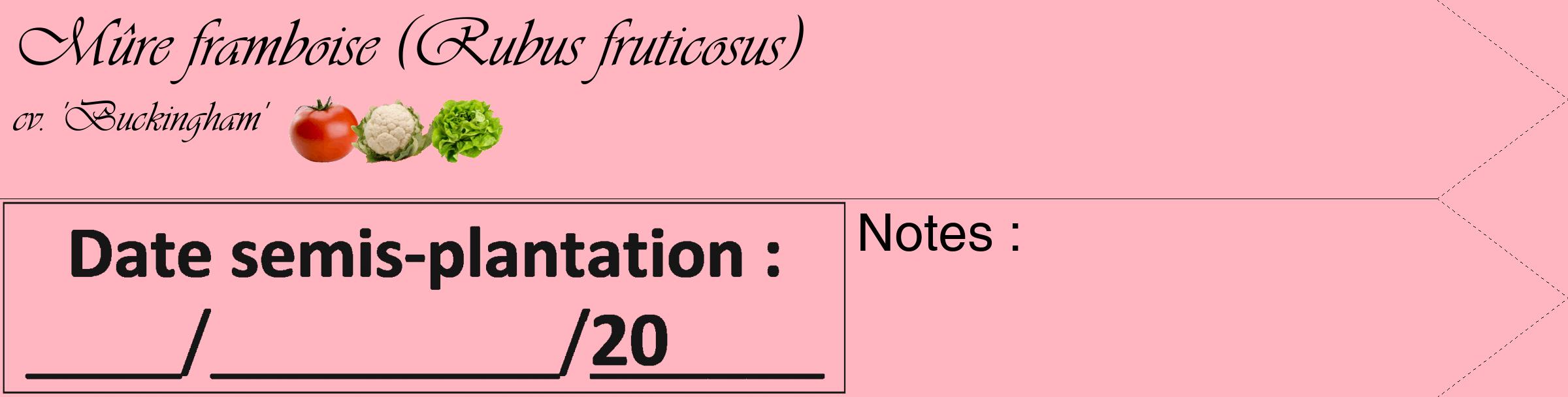 Étiquette de : Rubus fruticosus cv. 'Buckingham' - format c - style noire41_simple_simpleviv avec comestibilité simplifiée